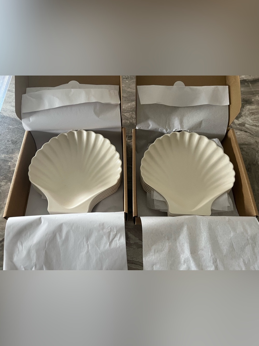 Meri Meri Bamboo Shell Plate Set in Cream - NEW from Summer Jilly box